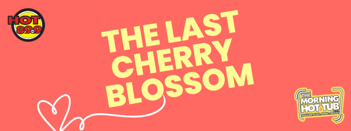 The Last Cherry Blossom